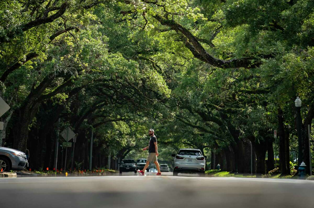 The Importance of Tree Equity & How It Impacts Our Neighborhoods and the Planet