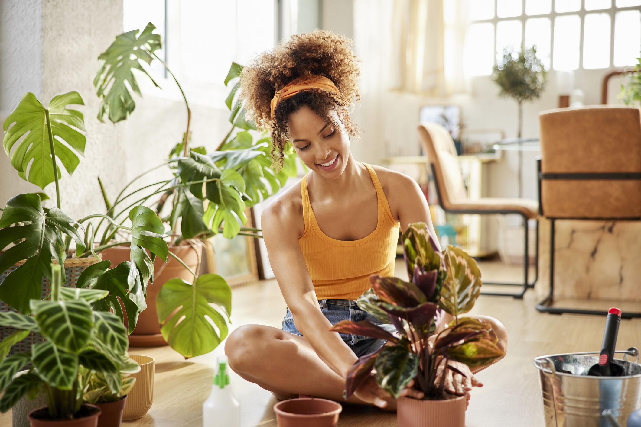 5 Indoor Plants That Are Easy to Take Care Of