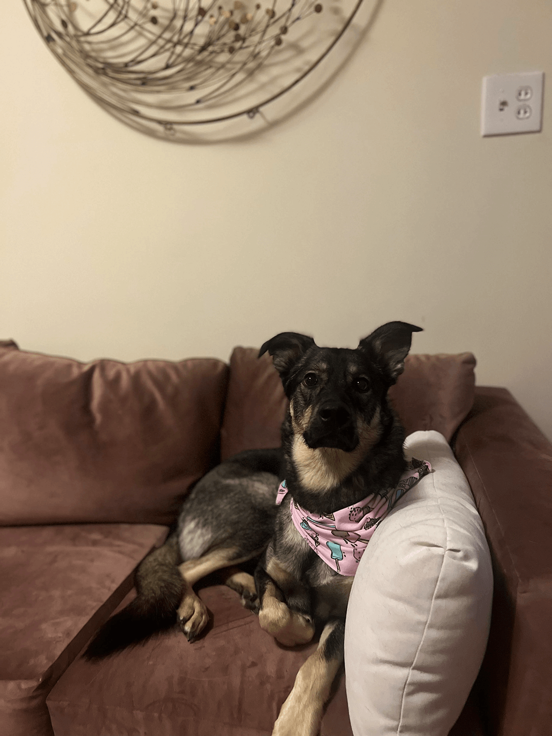 Meet the Team: Avalon's Home Tour (2/17/2023)