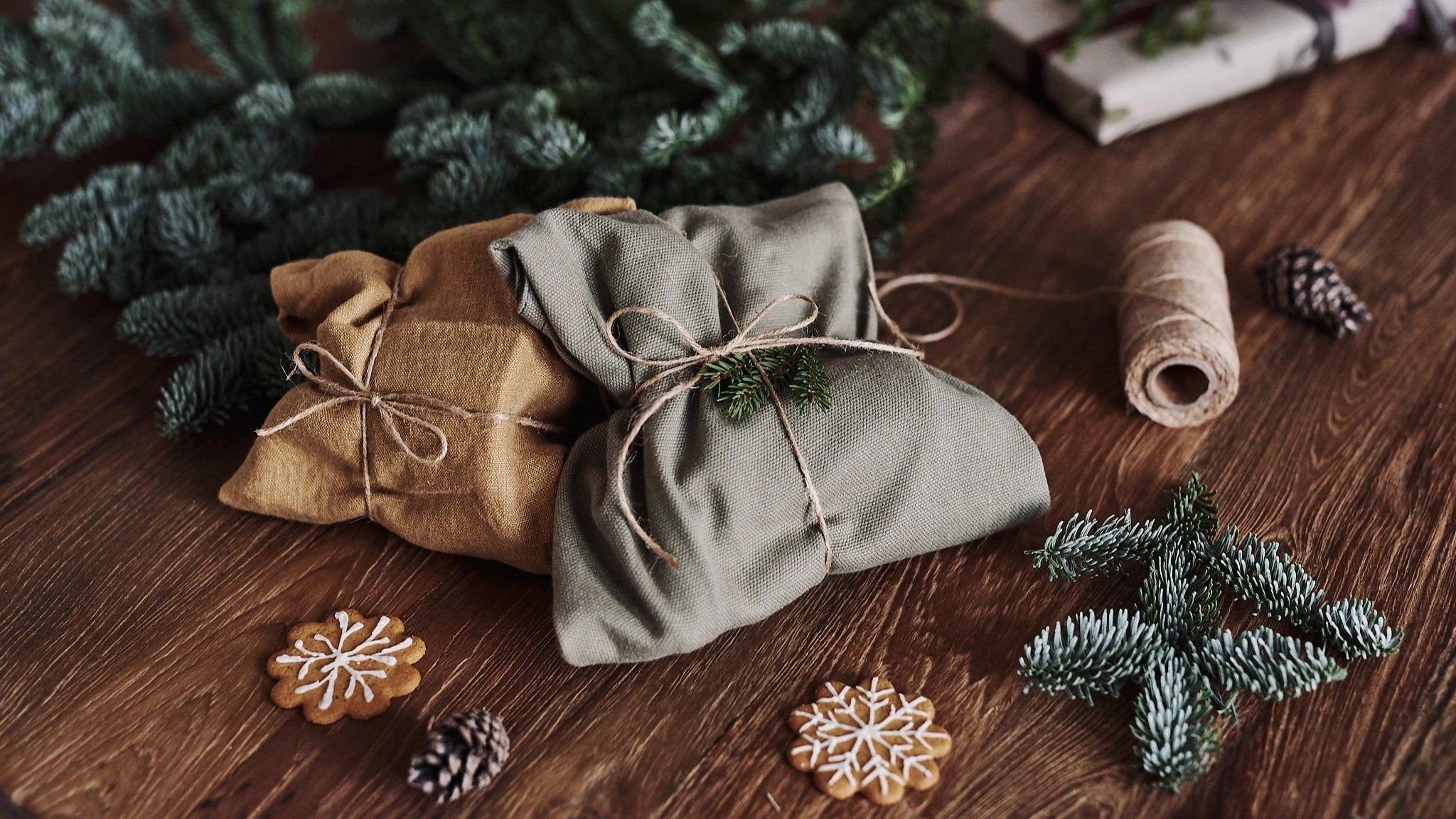 10 Sustainable Presents to Give for Eco-Conscious Holiday Gifting (12/2/2022)