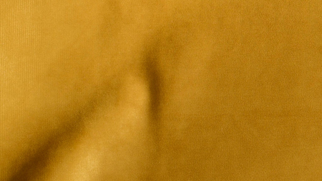 Mustard Recycled Velvet