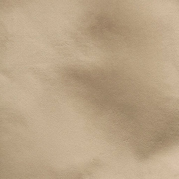 Cashew Recycled Velvet