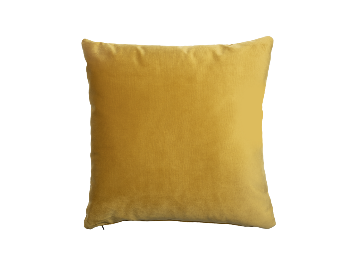 The Square Pillow
