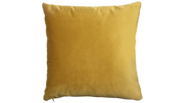 The Square Pillow