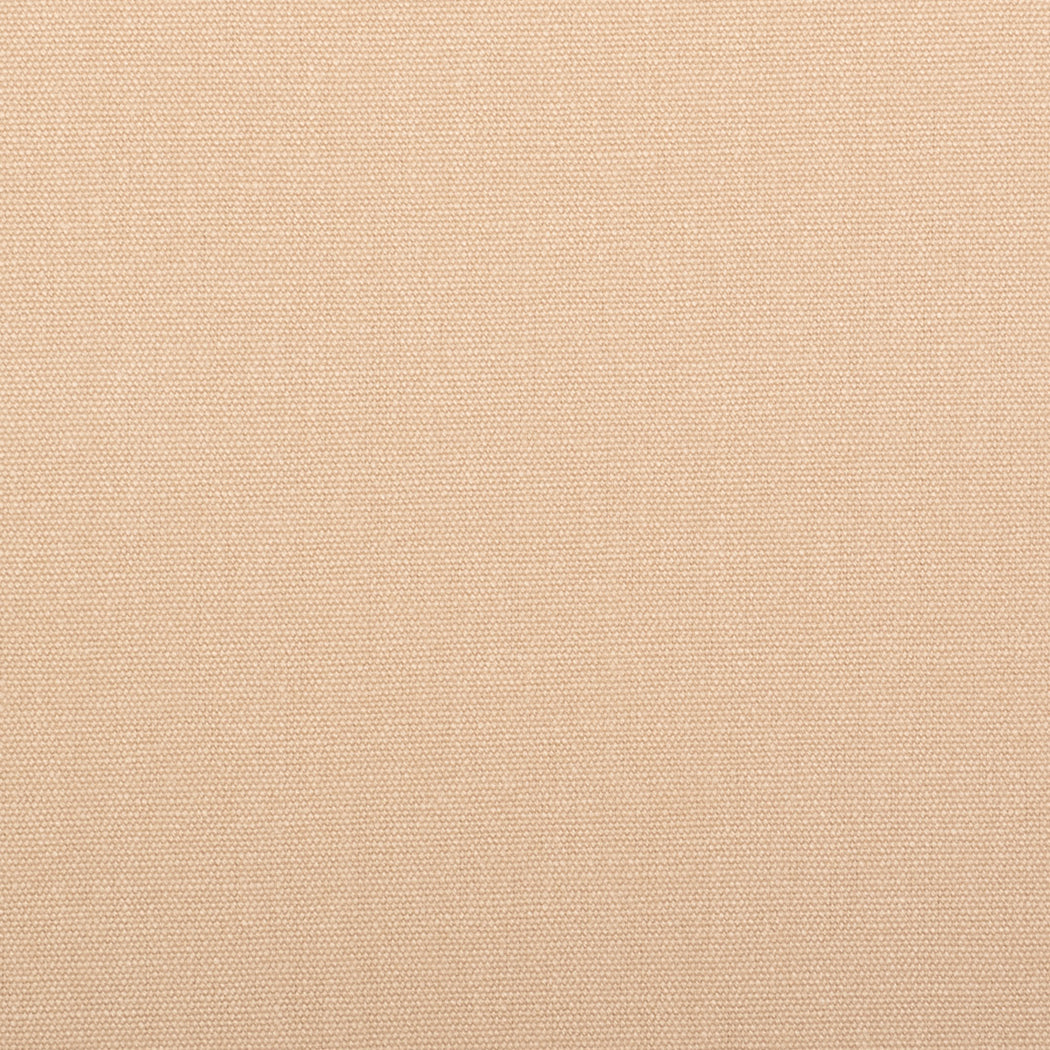 Sand Hemp