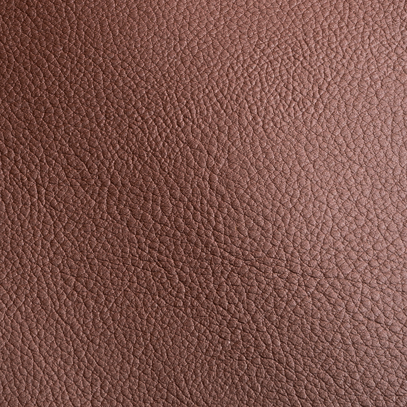Cactus Leather